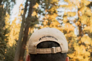 Sequoia National parks usa amerika leto student work and travel 